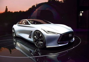 无限永远月季的简介