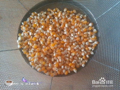爆米花的玉米种类揭秘