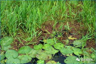 解决方法，试试堪这些