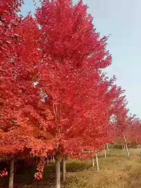 影响因素，你知道吗