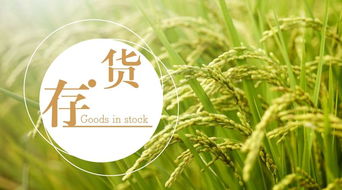 打碗花除草剂有哪些？市面上常见品种大盘点