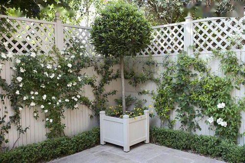 大门前，不Neng栽啥？