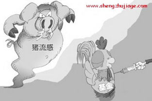 猪流感高发季，如何流行、诊断、治疗和防控？