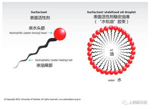 表活剂界的“明星”之争，到底哪家强？