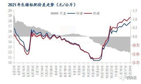 猪肉价格走势图近期持续上涨，未来几个月还会继续上涨吗？