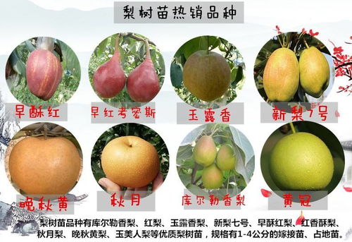 南北方种植，各有所爱