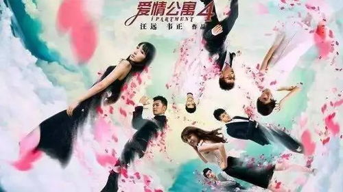 玫瑰传宽恕，新生守望情