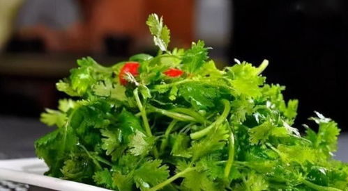 常食香菜，肾脏排毒效果佳