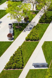 草坪在园林中的作用：不仅仅是绿色覆盖