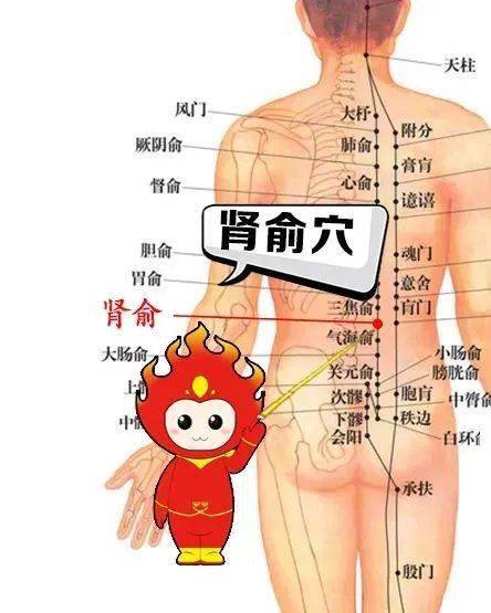 公丁香：温中止痛
