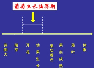 果树花期果期：一场温湿度管理的奇妙之旅