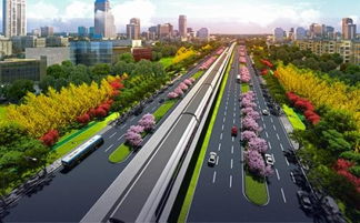 铁路两边绿化标准，你知道吗？