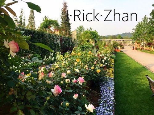 甜蜜诉说的花径和直立性