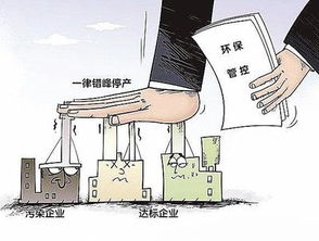 城镇化与农村发展：环保政策的后遗症