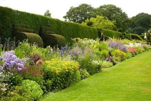 四、 色彩设计的重要性