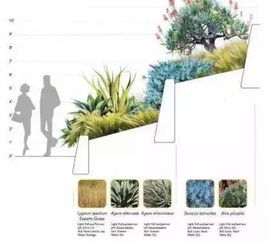 流水景观效果图：排水手法的魔法之旅