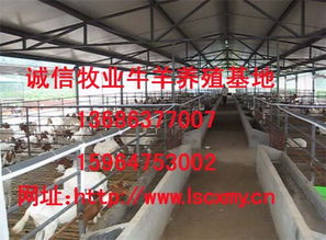 创新型全封闭生态养殖场设计图