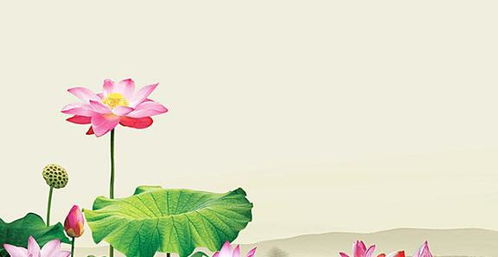 花卉诗词汇集里的芳华印记