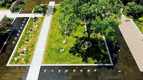 公园里的树木，也是大有作用的哦！