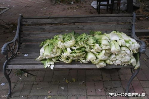 二、小雪前后北方种植蔬菜的技巧