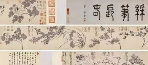 清香木叶垂落，其奥秘藏于哪一叶