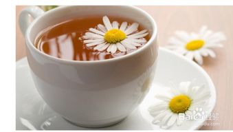 菊花茶功效显著，常饮菊花茶