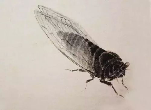 花儿里头藏小飞虫？是它们在跳舞吗