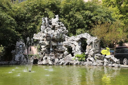 小区绿化病虫害防治，你真的懂吗？