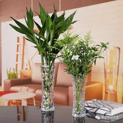玻璃花瓶中的美丽魔法