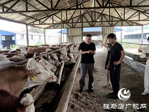 冬季养殖“八防”：保暖、通风、饲料、疫病、水质、环境、安全、管理