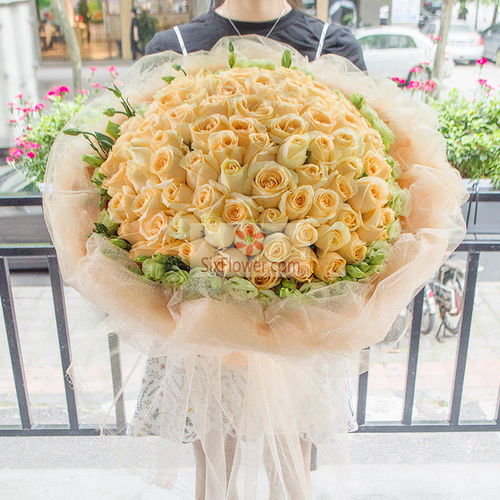 21朵香槟玫瑰：爱与美的完美结合