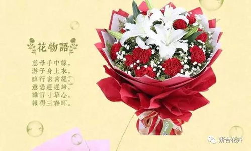红色康乃馨，妈妈
