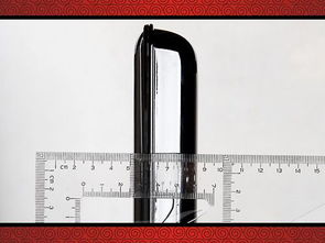 雪松直径50cm的价格探秘