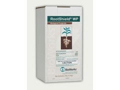 一、 细菌和微生物的烦恼