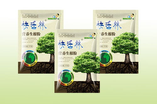 生根粉灌根技巧：如何直接使用生根粉而不伤根？