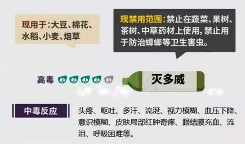 科学用药， 降低成本提高效果