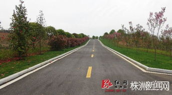 探寻汶马高速的独特植物世界