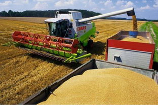 专家意见：谨慎使用