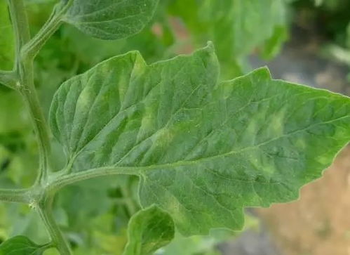 防治方法， 你得知道