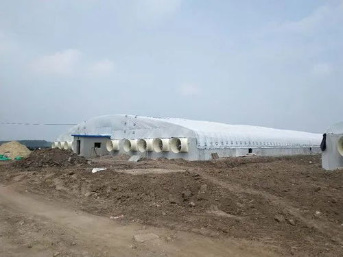 中小猪场选址避开五大雷区，建设成本直降30%
