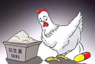 饲料禁抗后哪些企业或产品在暗中崛起，悄然逆袭市场？