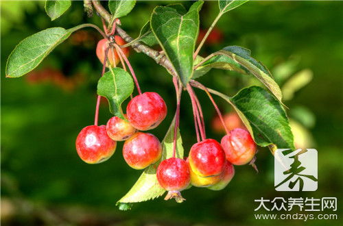 海棠的神秘之处