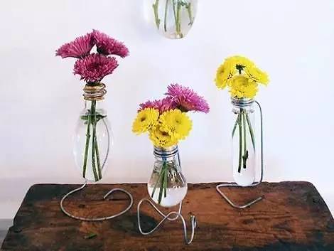 推荐几种美美的花儿