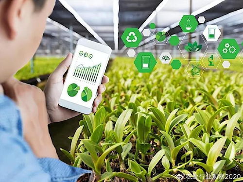 精准农业时代的来临