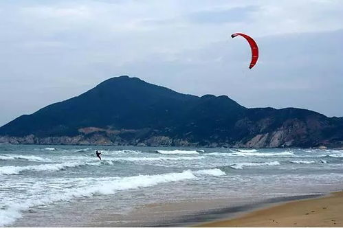 潮汐嫩与波浪嫩， 如同海岸边适应盐碱与潮涨潮落的耐水植物