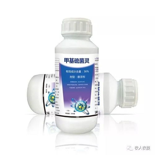 防治效果、 经济效益，综合考虑