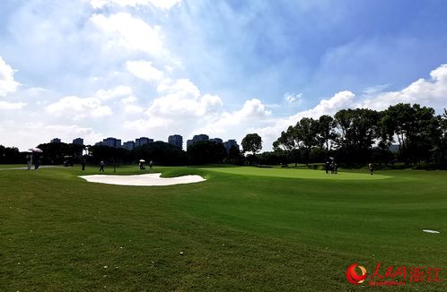 选择合适草坪草种的步骤