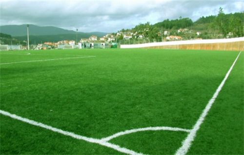 城市精神文化发展，草坪种植的意义