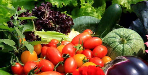 丙环唑的神奇与凶险