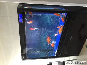 水族用品哪个牌子比较好，鱼缸哪个牌子质量最好？